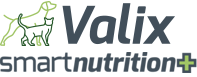 Logo Valix
