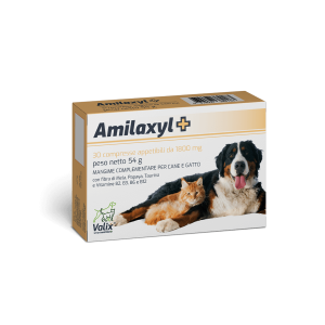 Amilaxyl+
