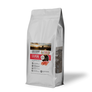 Crocchette Salmone con patate