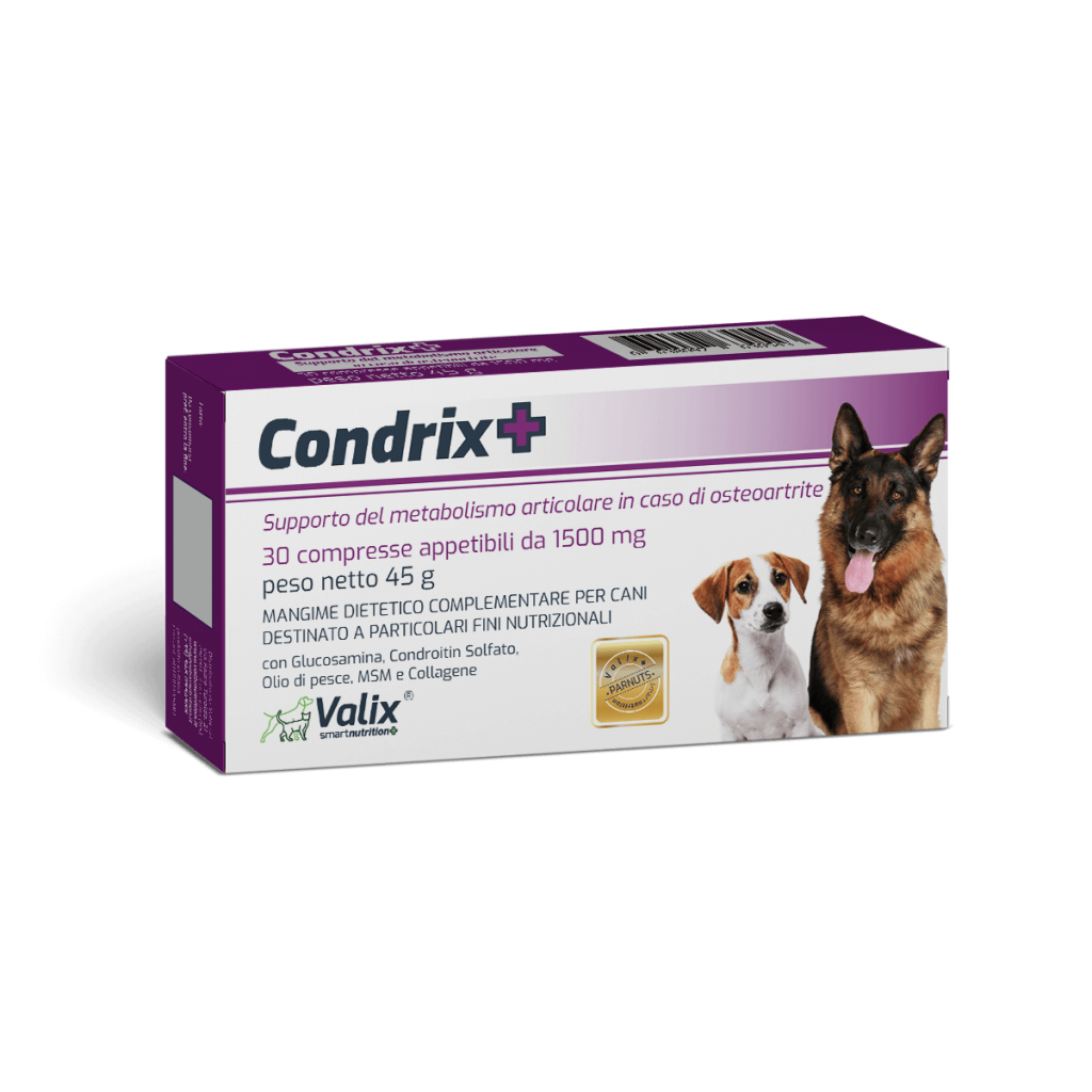 Condrix+