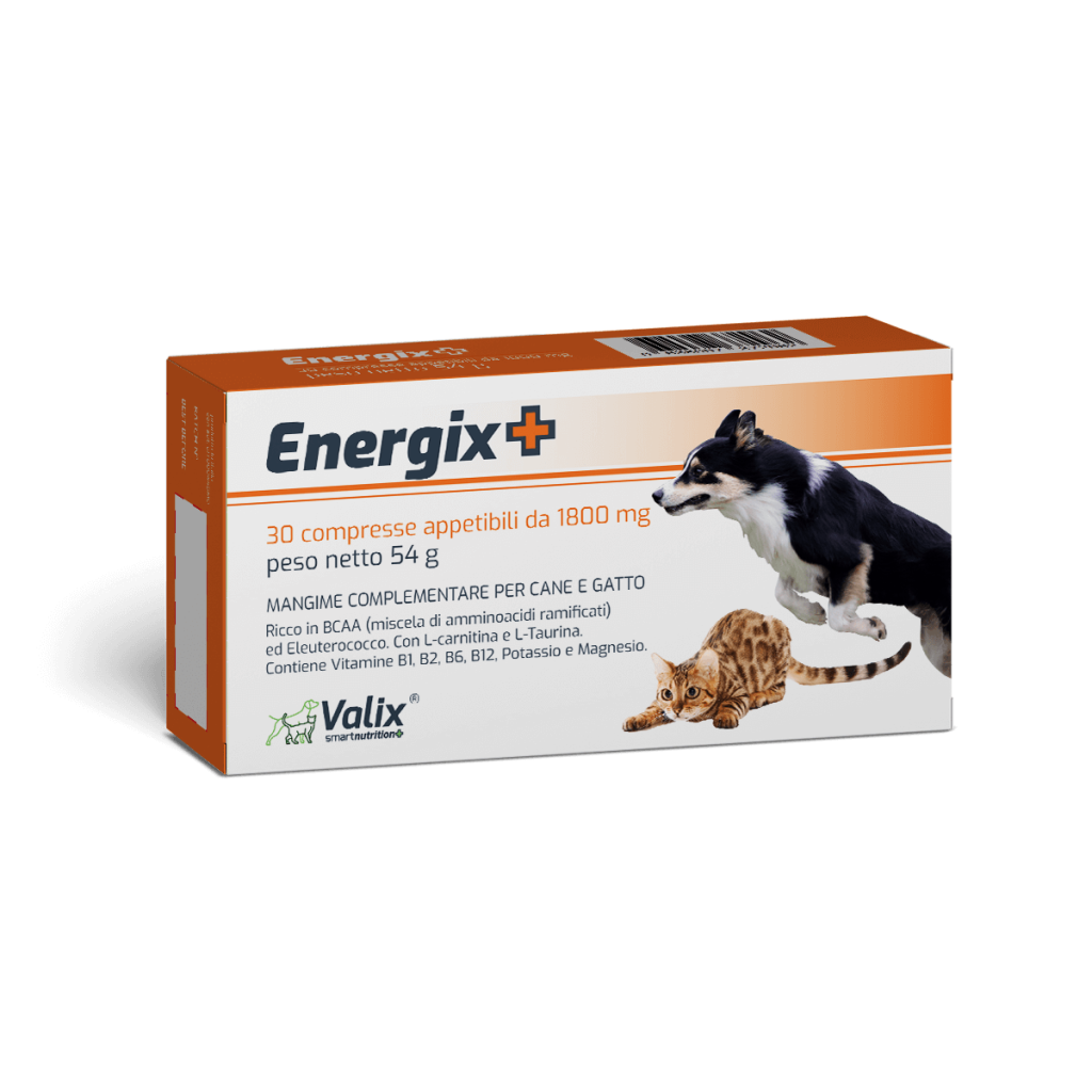 Energix+